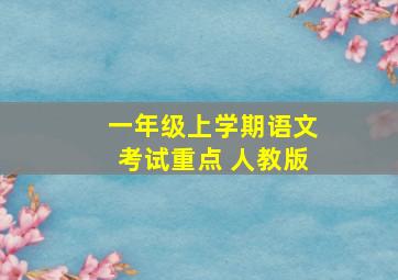 一年级上学期语文考试重点 人教版